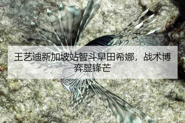 王艺迪新加坡站智斗早田希娜，战术博弈显锋芒